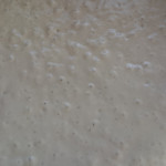 Sauerteigansatz